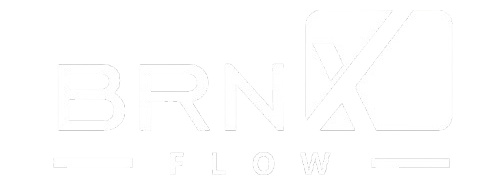 BRNX Flow Logo